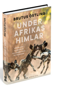 Afrikas_himlar_dummy_Large_s_RGB_for_webben