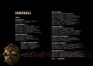 Introsidor3